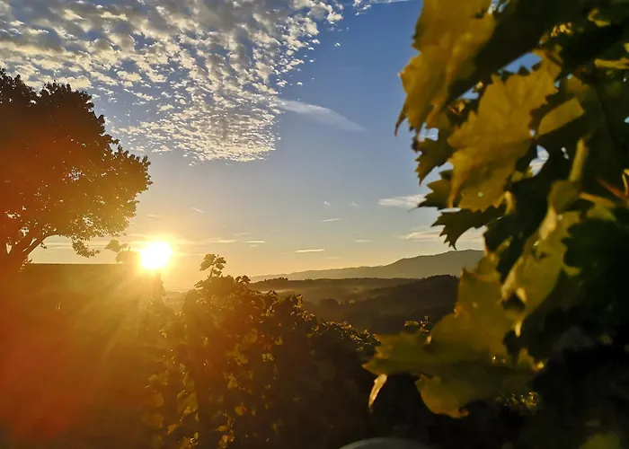 Peiserhof Ferien.Wein.Gut Suedsteiermark