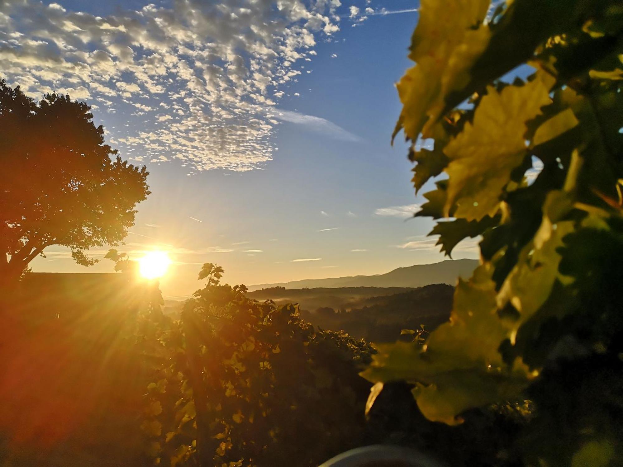 Peiserhof Ferien.wein.gut Suedsteiermark Bauernhof